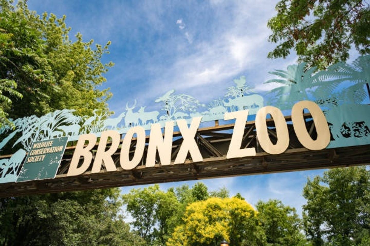 Bronx Zoo