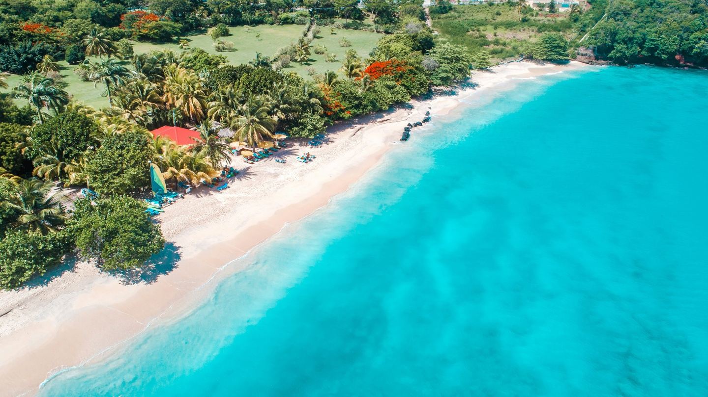 Celebrate Jader's Birthday with Savor in Grenada