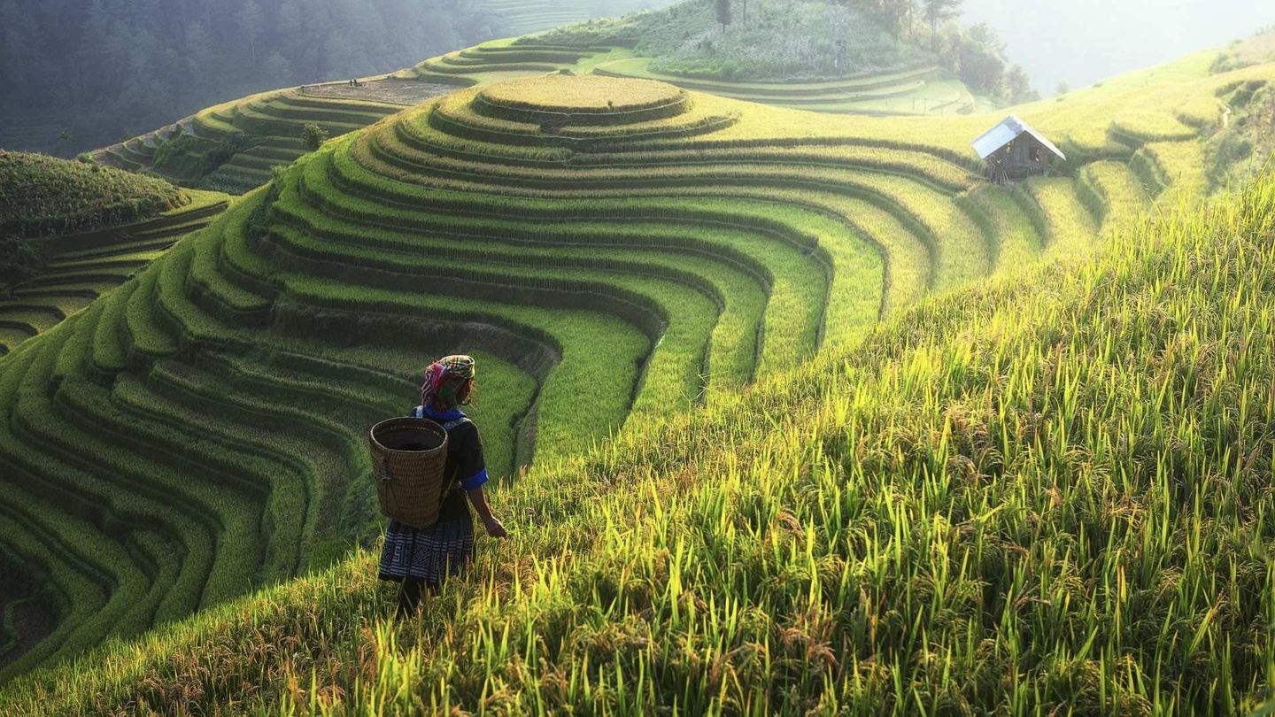 Vietnam & Cambodia 2027: Explore the Beauty of Southeast Asia -13 Days