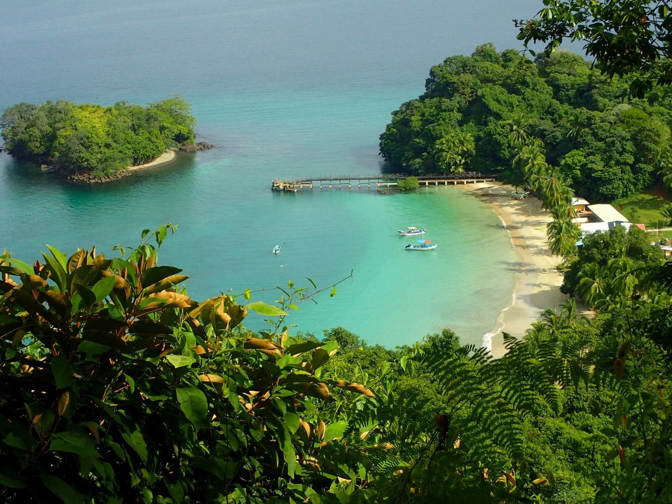 Escapada | Panama | 8 nights - Feb 13th-21st, 2027