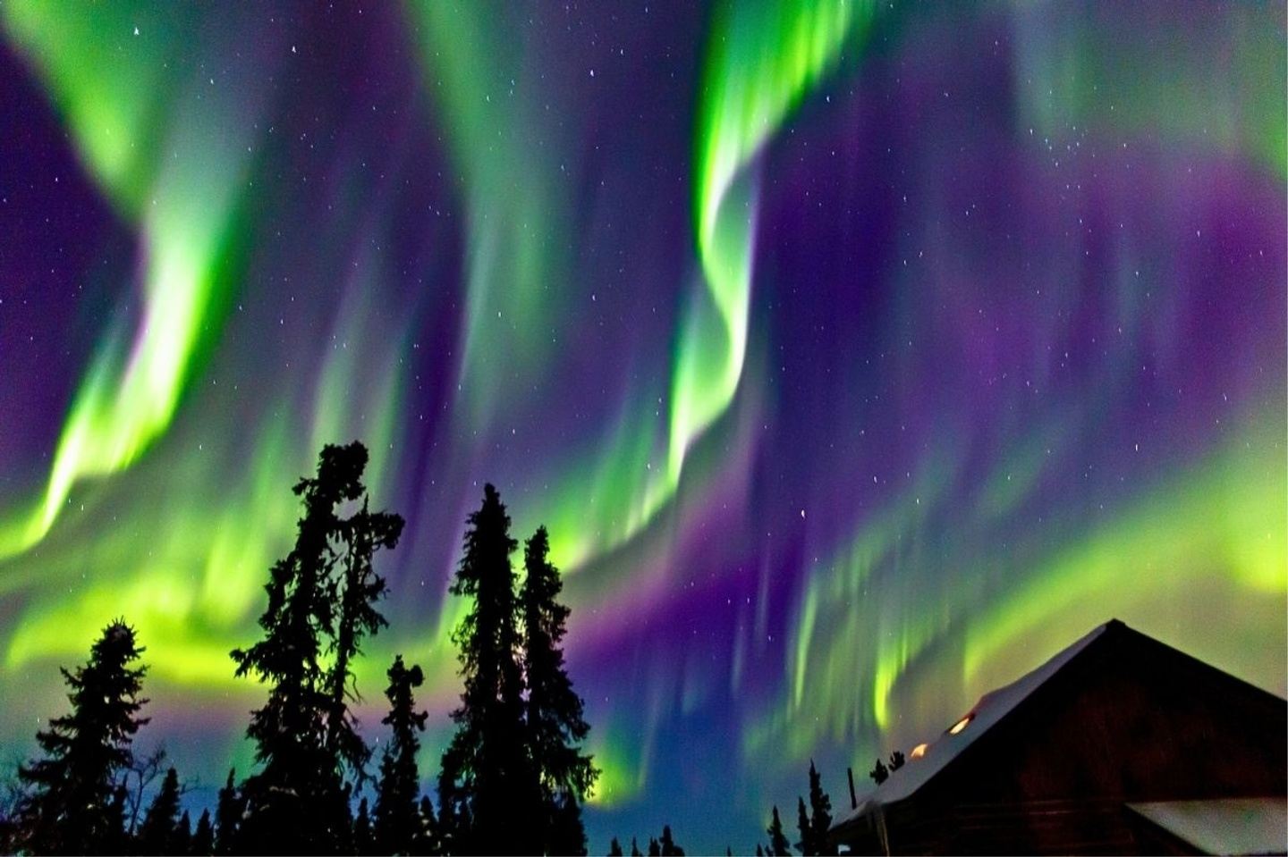 TNN's Chasing the Borealis: Northern Lights Escape