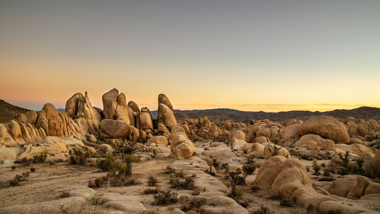 Joshua Tree and Cactus to Clouds Adventure