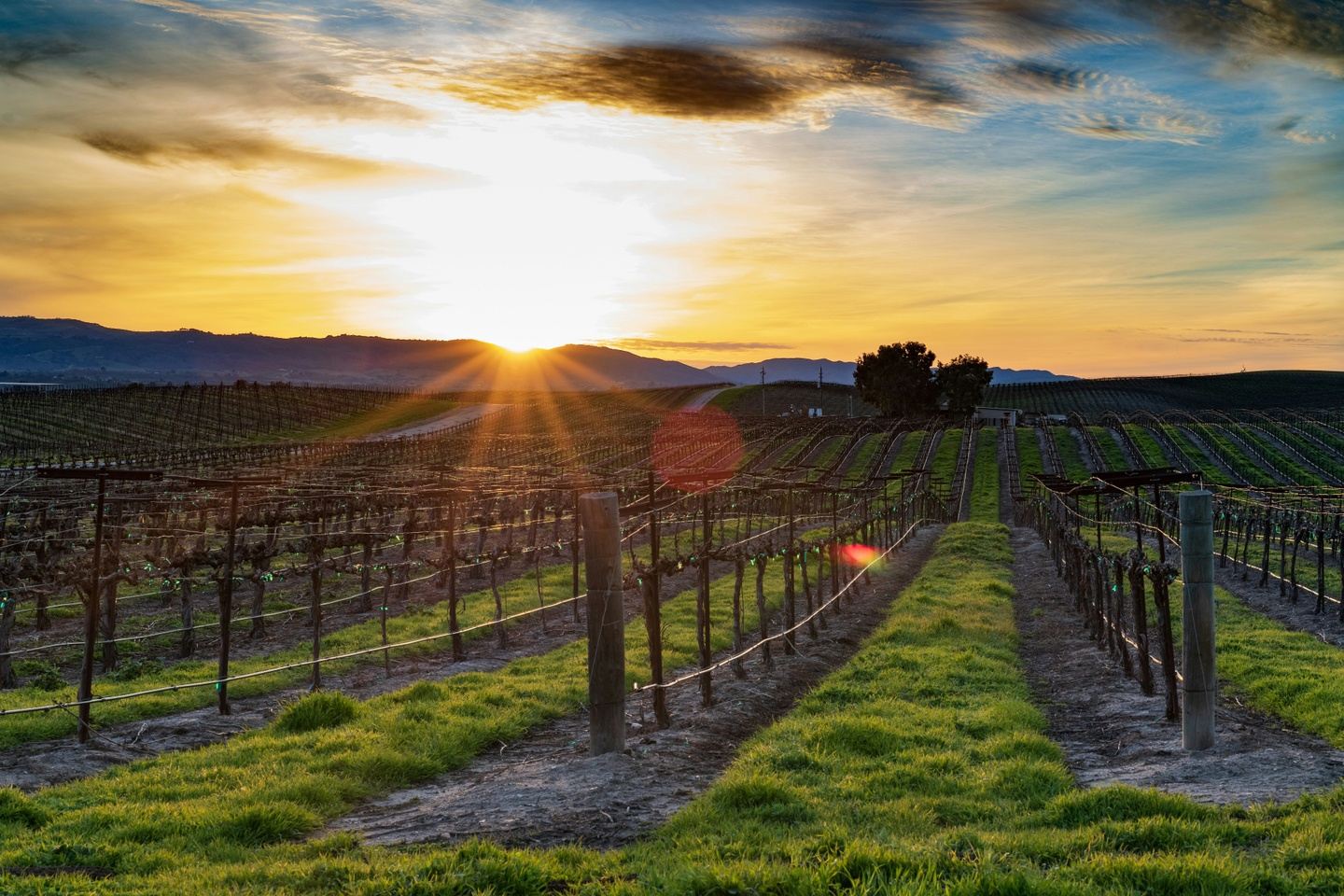 California Wine Country