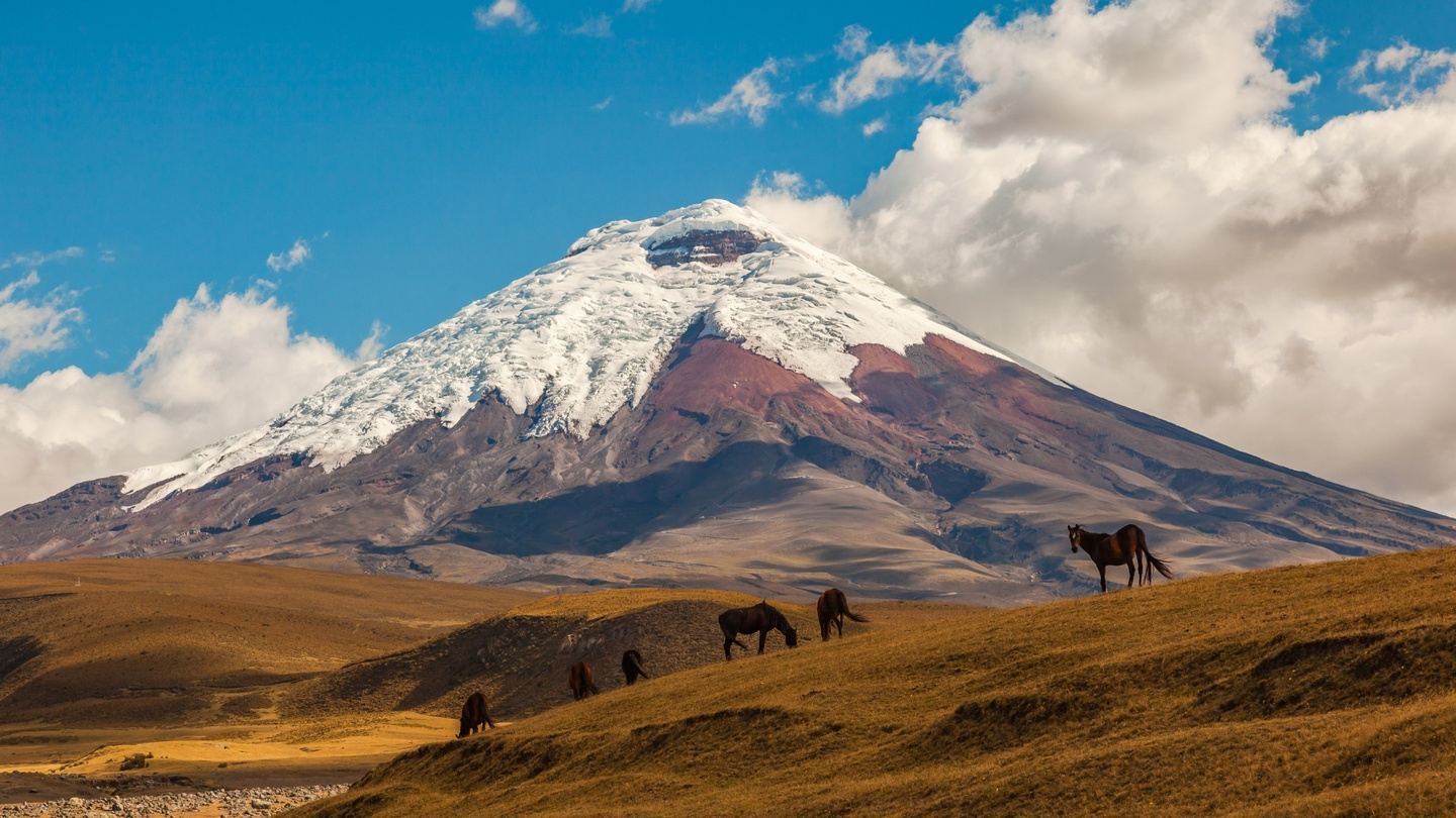 5-Day Quito to Guayaquil Private Tour