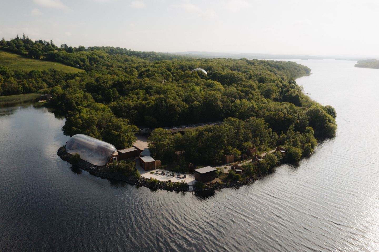 The Wild Forest Retreat