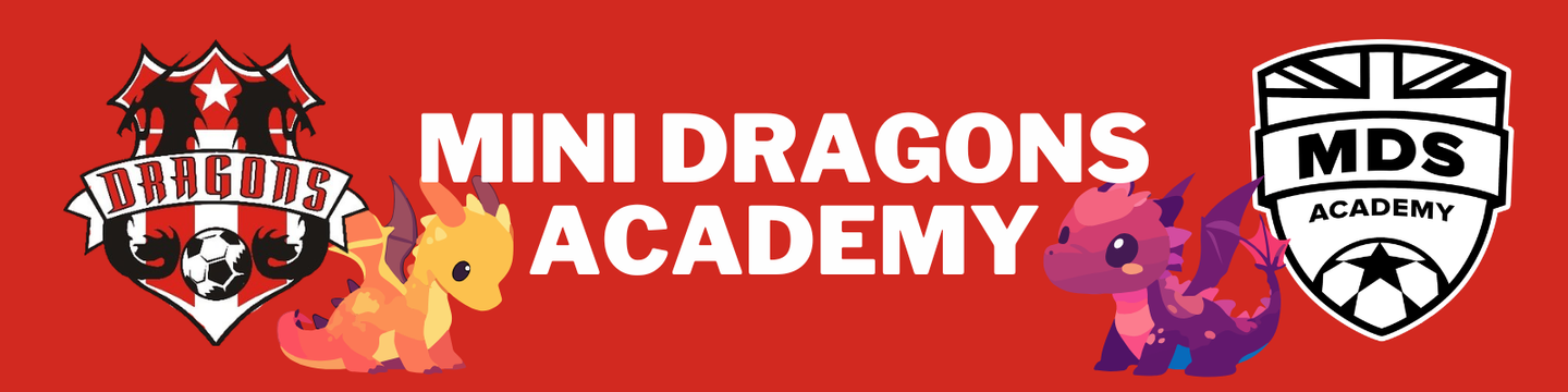 Mini Dragons Academy - Spring