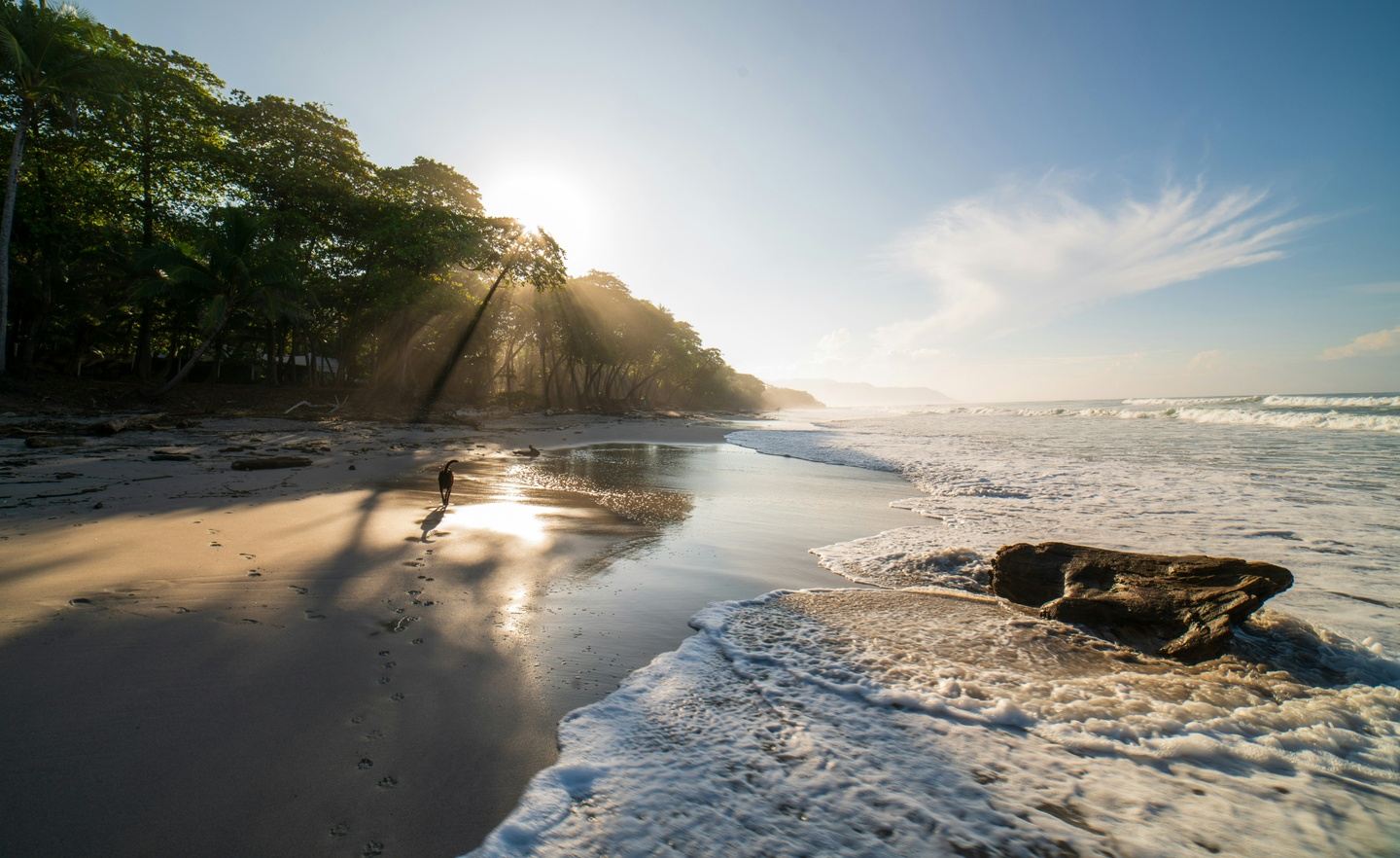 Pura Vida Educator Experience | Costa Rica