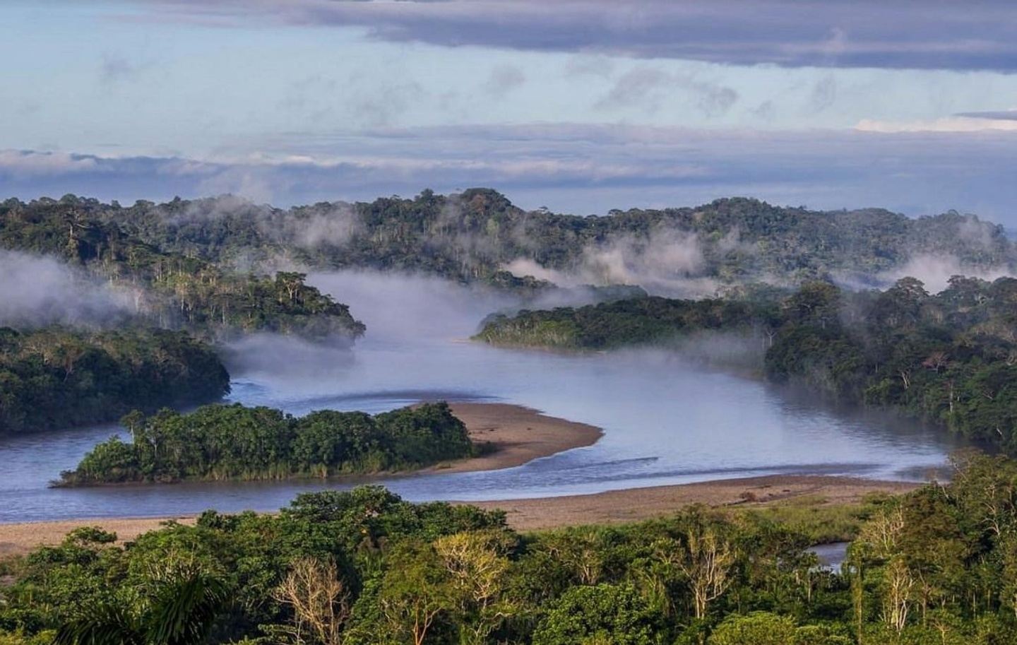 Ecuador Amazon Birding Tour