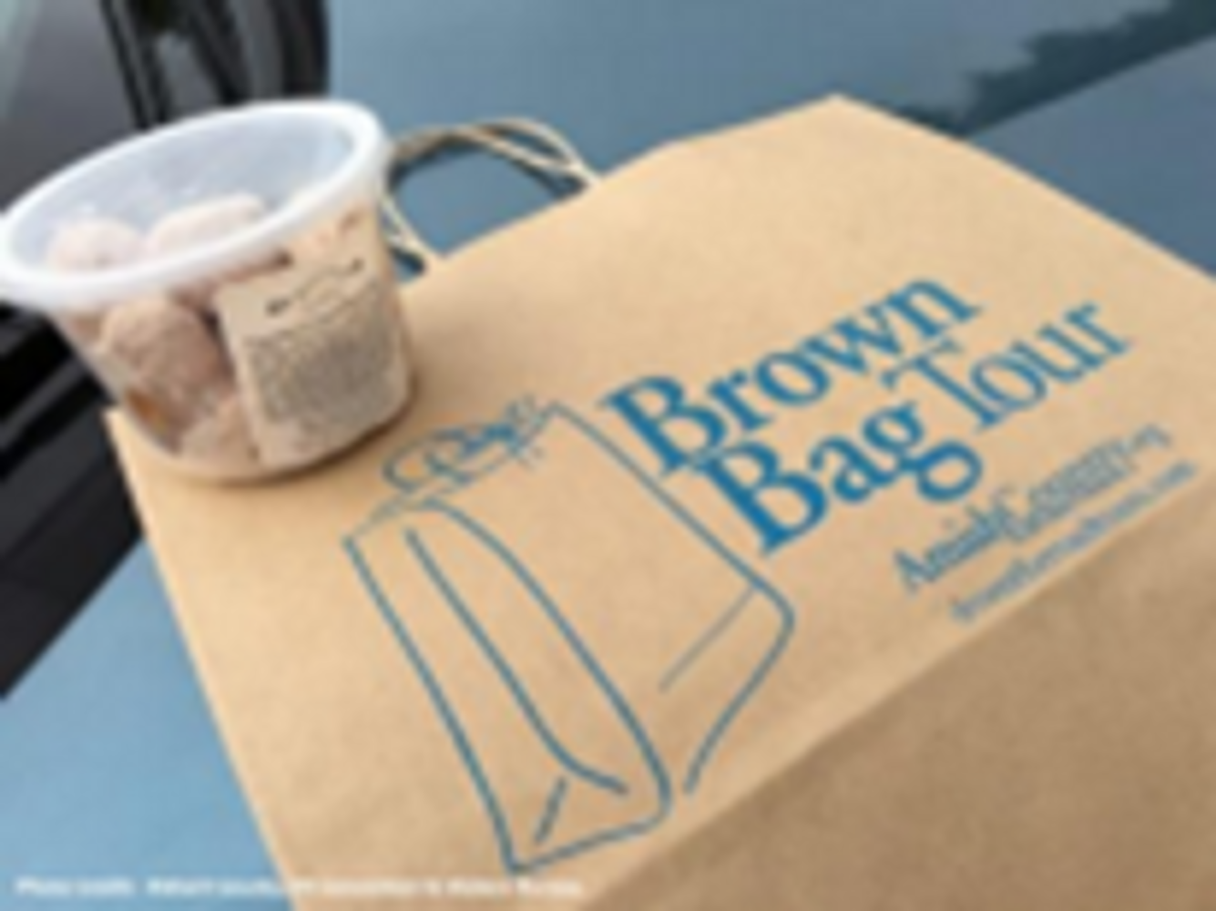 Spring Brown Bag- May 15, 16, &17