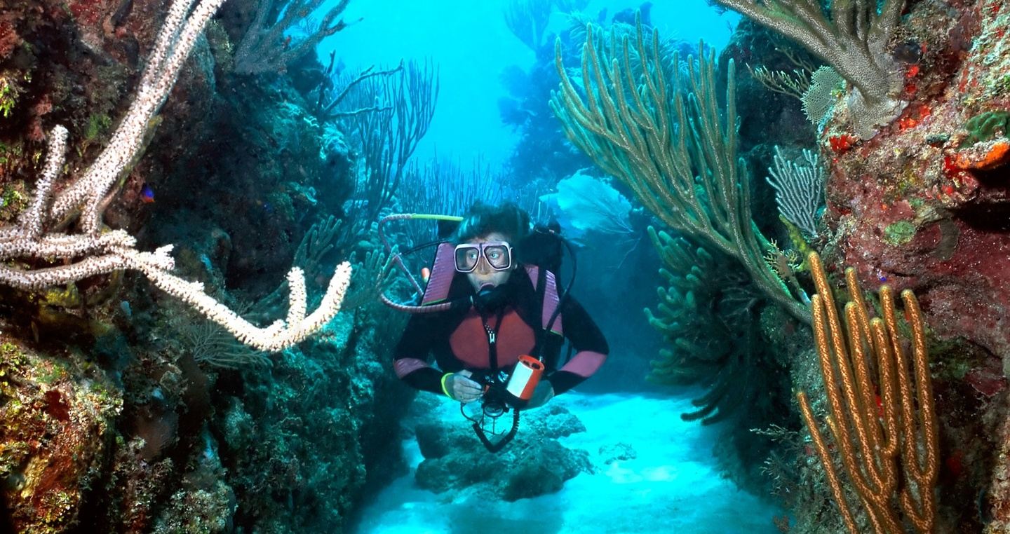 Reefs to Peaks:  Roatan