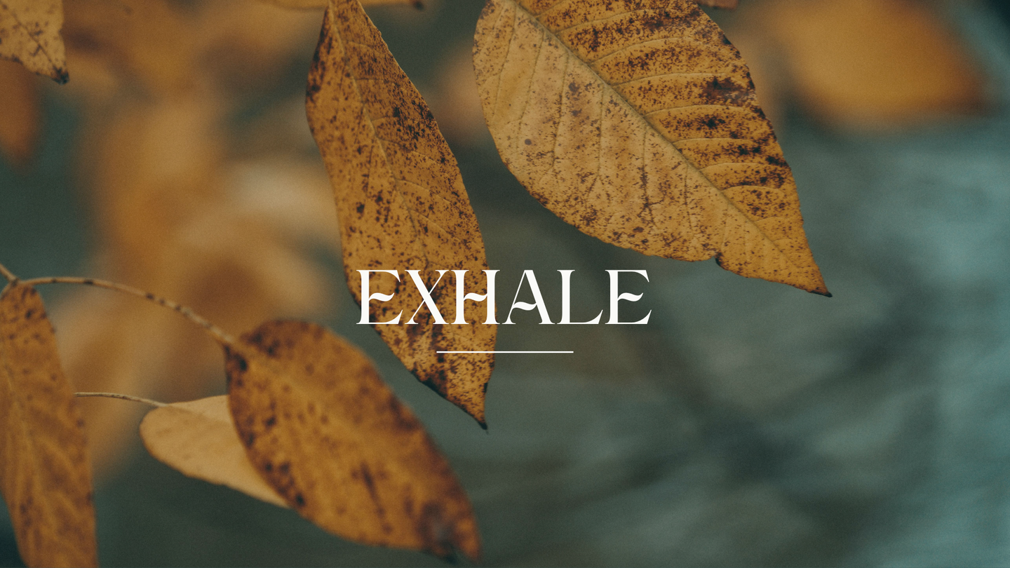 EXHALE: A Fall Retreat for Women:  Rest, Release & Renewal