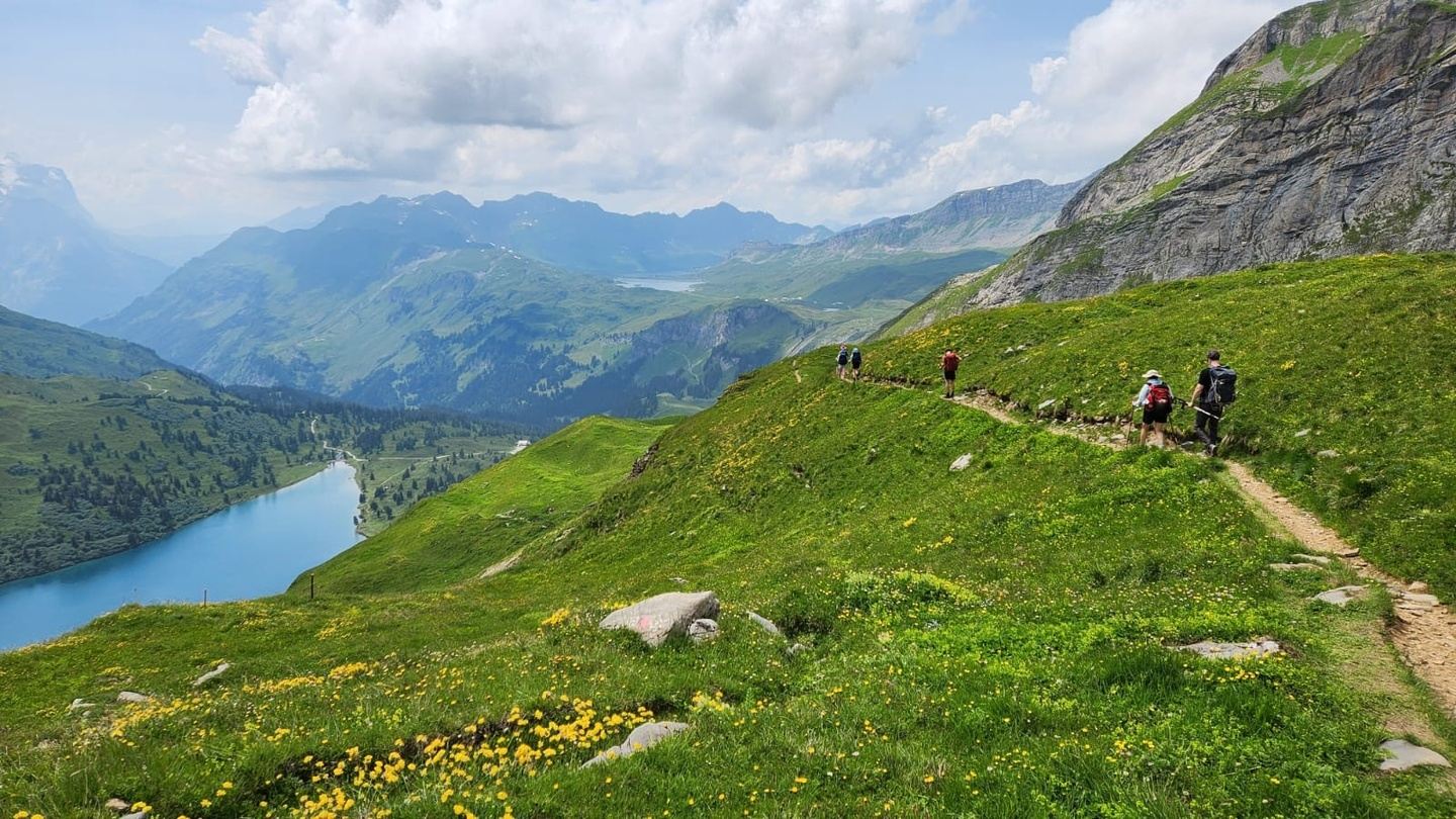Swiss Hiking Tours-The Best of the Via Alpina