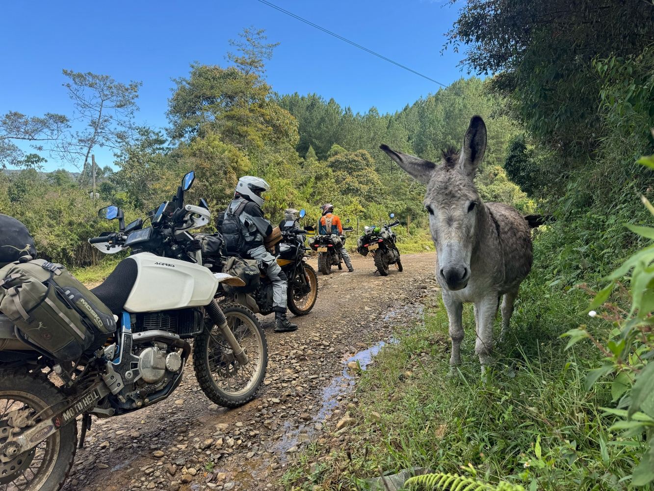 5-day tour | The Andean Sprint: explore the real Colombia (November)