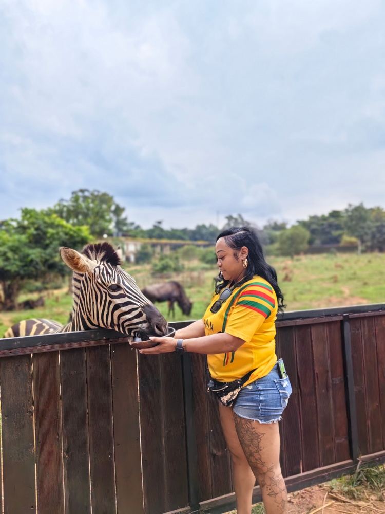 Thrill & Chill: Off - Road Quad Bike, Wildlife & Waterfalls
