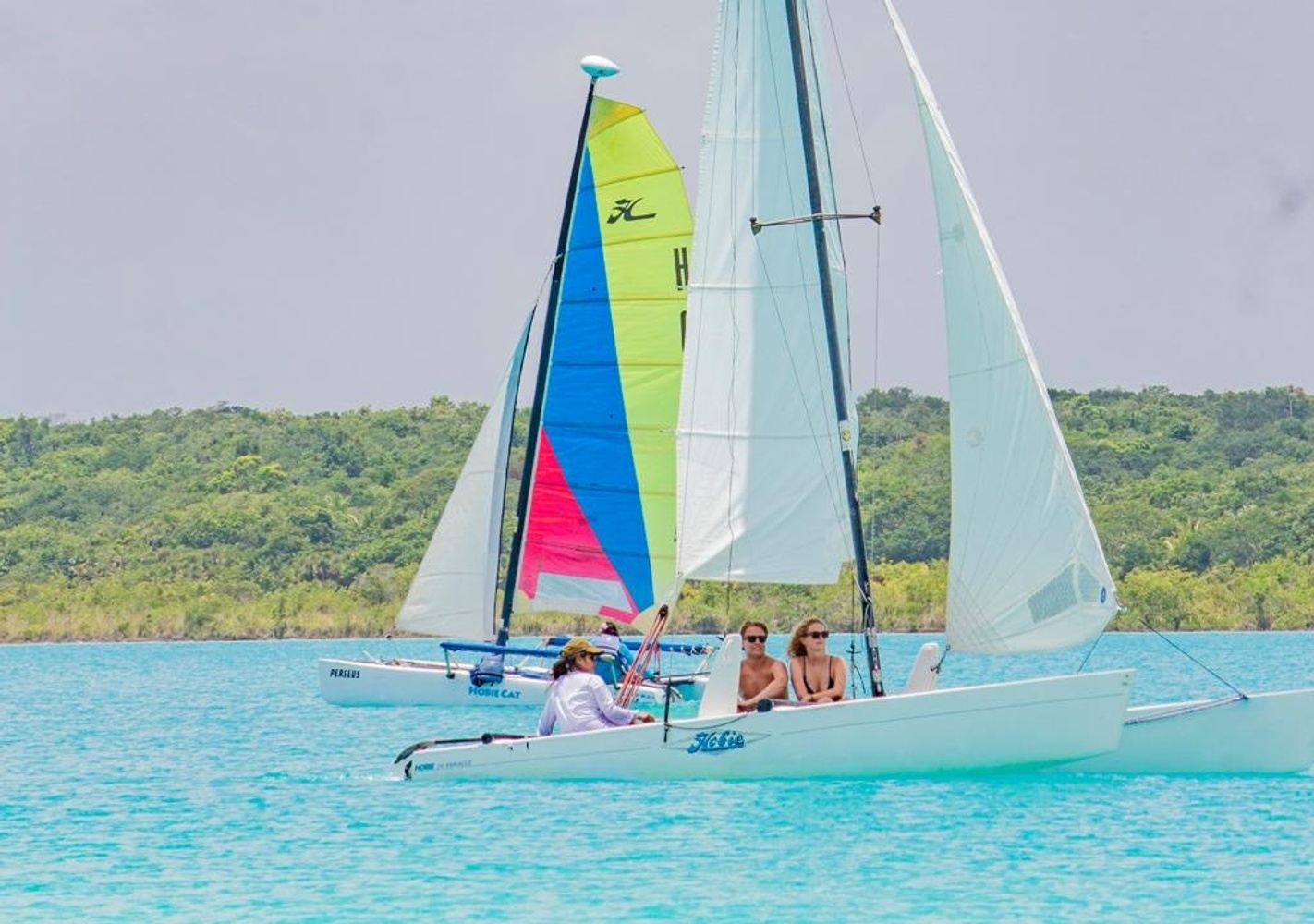 NAVEGACION PRIVADA ENTRE MANGLARES CATAMARAN (copy)