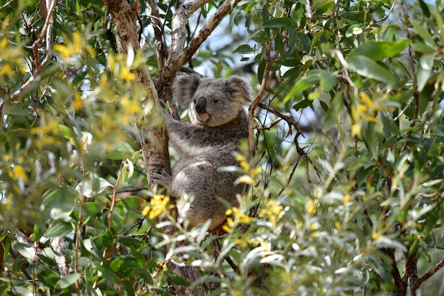 Vegan Tour of Melbourne & Surrounds