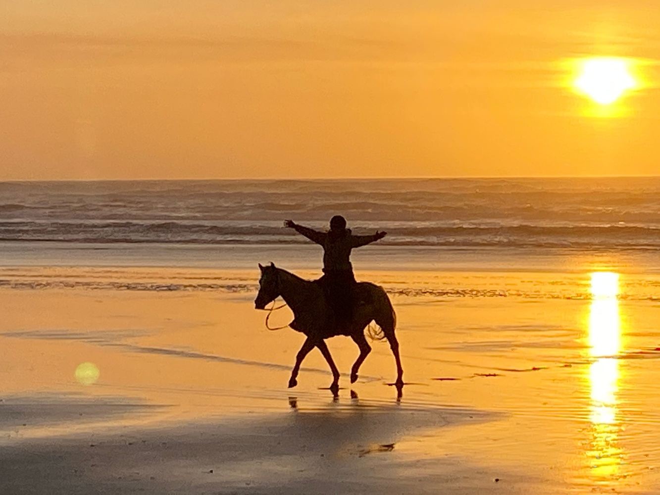 The Ultimate Equine Experience In Baja