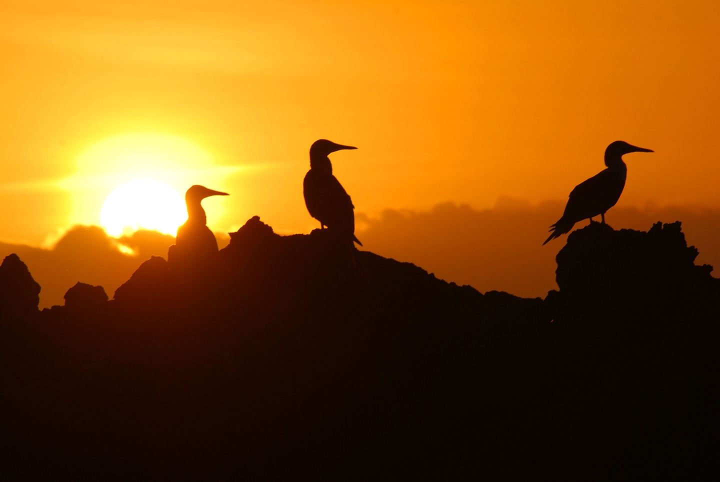Galapagos Express Tour
