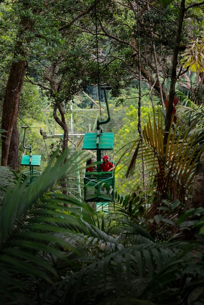 Gamboa Rainforest Experience