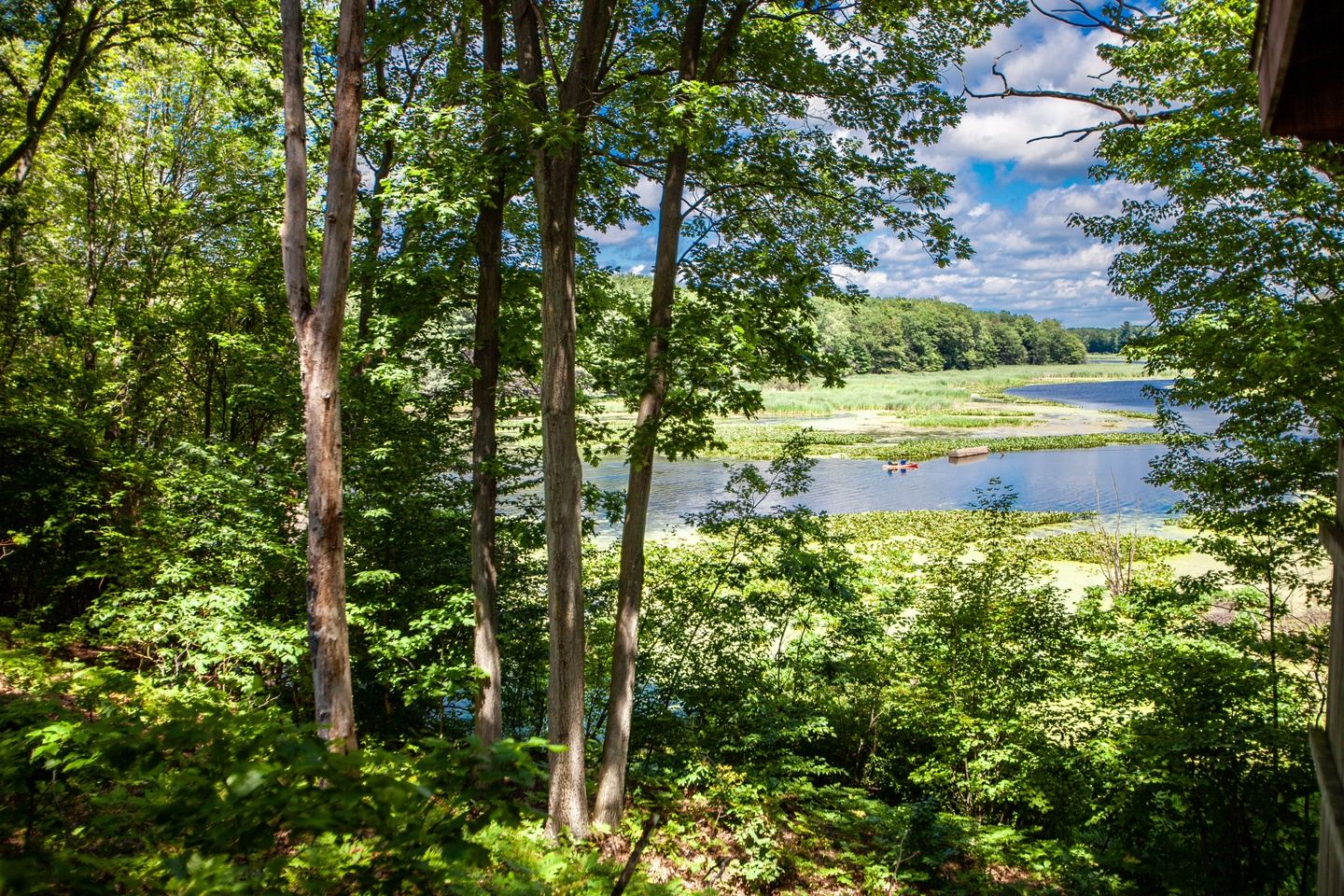 Retreat Into Nature in West Olive Michigan