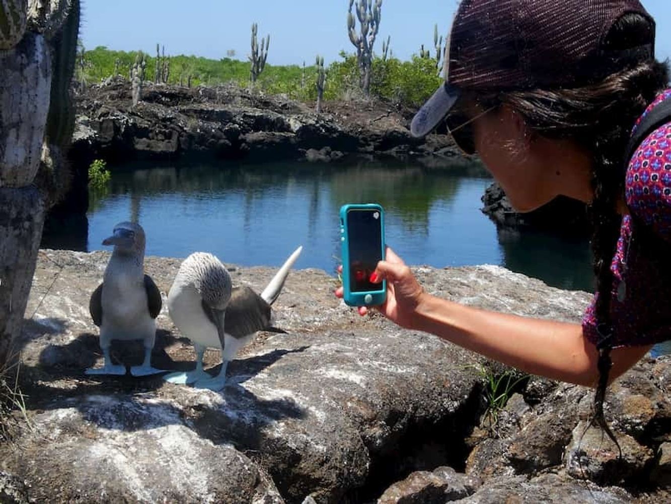 8 Day "Galapagos Wisdom" Tour - IDEAL - SMART25