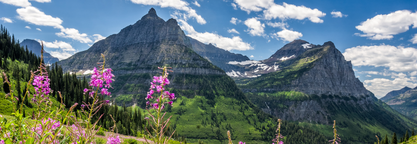 Glacier National Park Summer Trip