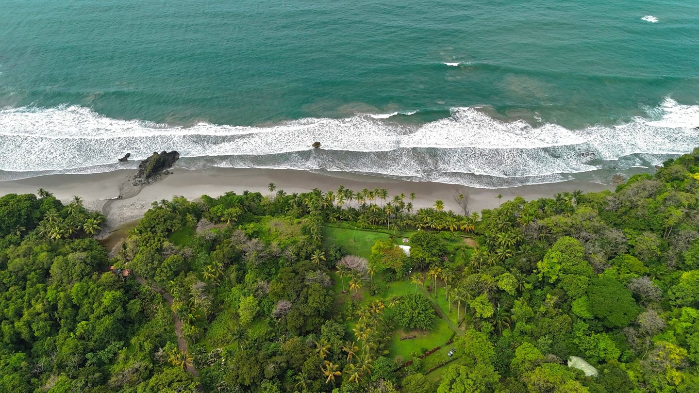 Manuel Antonio Guiding Walk
