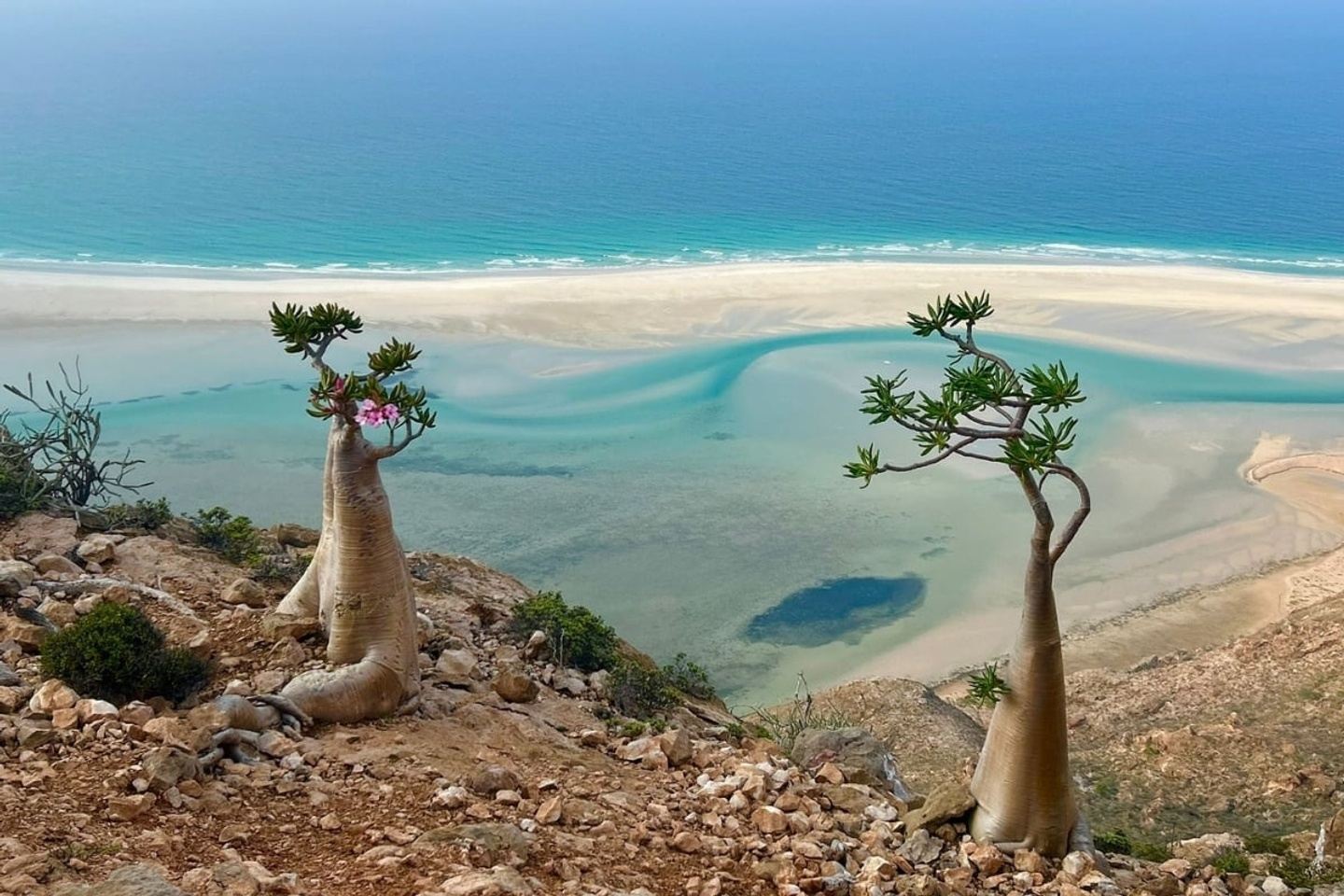 Socotra