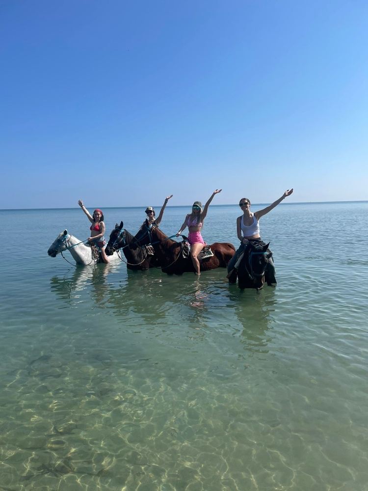 code 14OFF Beach Horseback Riding