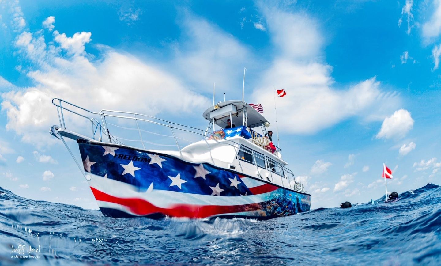 Wreck & Shark Diving in Jupiter, Florida - Oct 8 - Oct 12, 2026