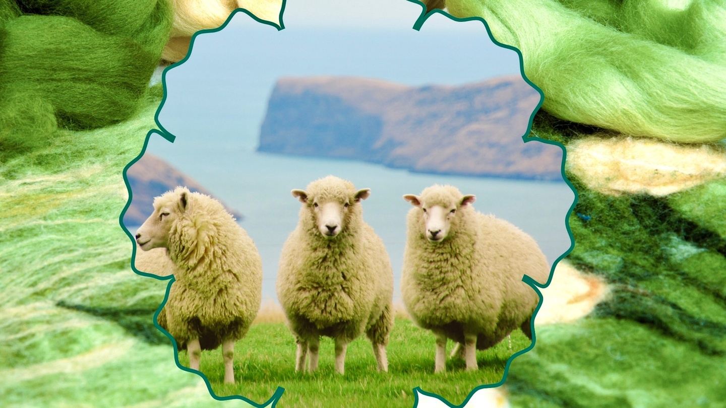 Ireland: Wool and Wonder 2026