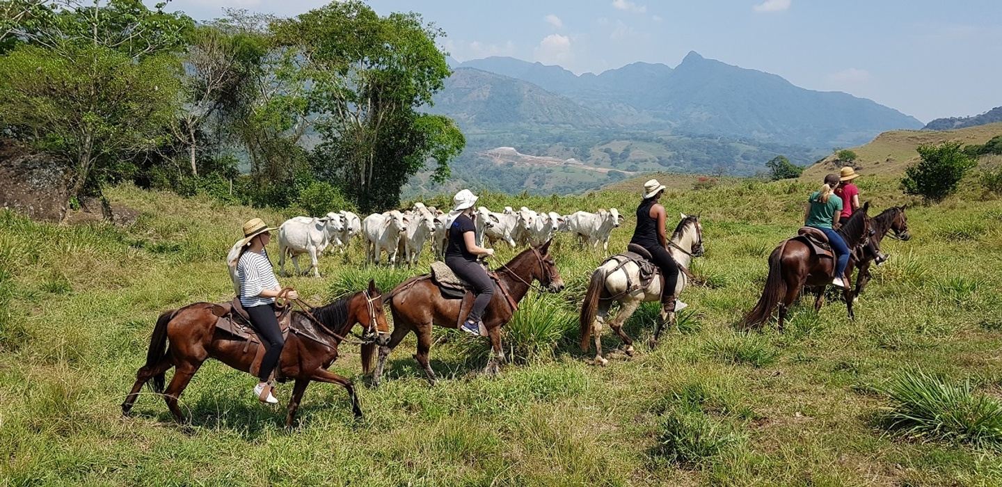 Horse ride add-on during coffee tour
