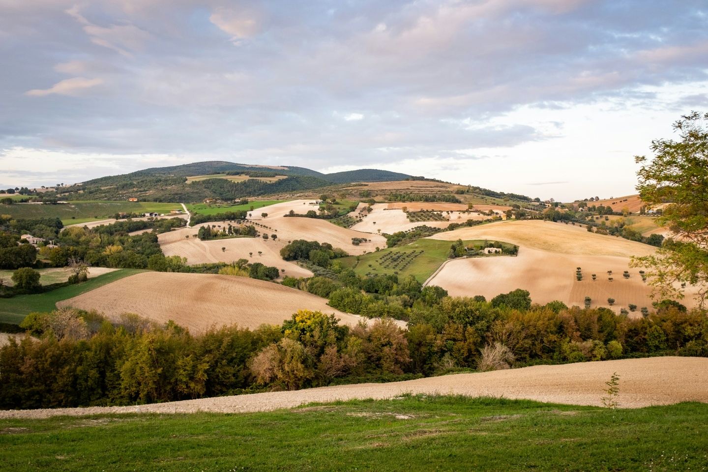 Marche Retreat - May 2027