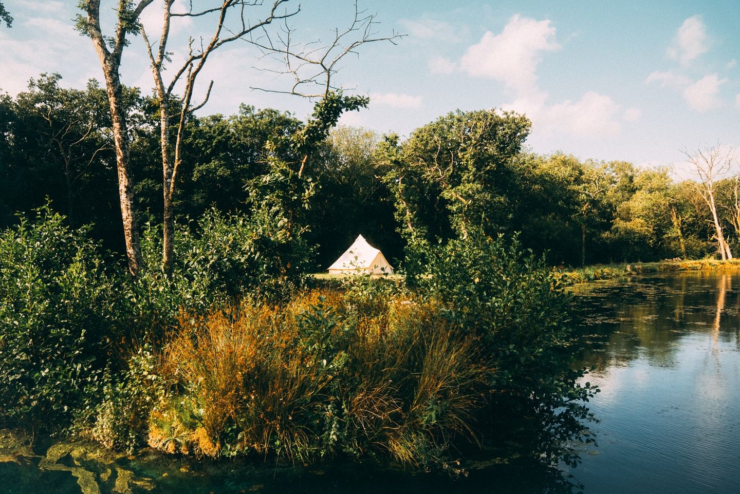 Surf & Yoga Weekend | Secluded Woodland Retreat