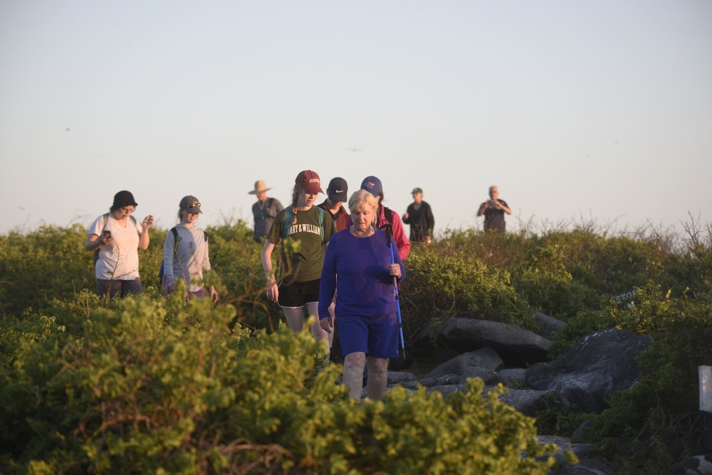 M/C ALYA - Galapagos 5 days Cruise - Luxury Experiences (ITINERARY A)