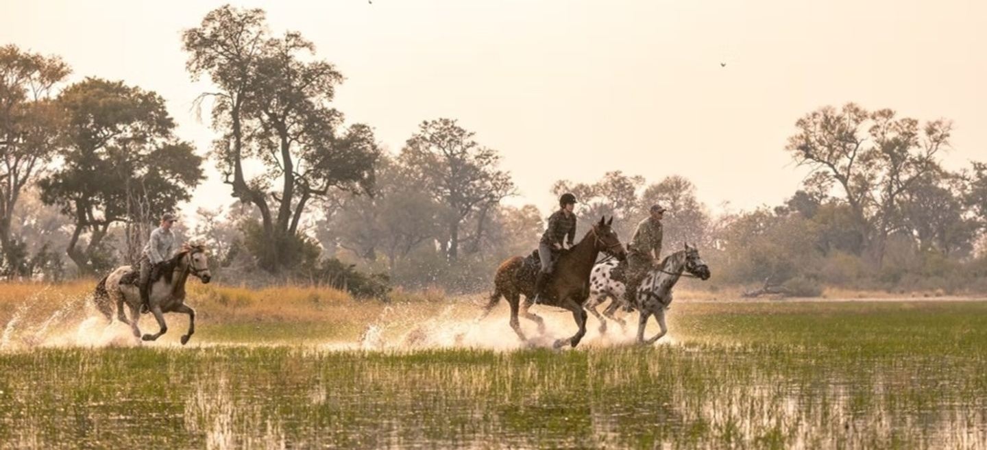 Botswana - Okavango Flexible Horse Safari