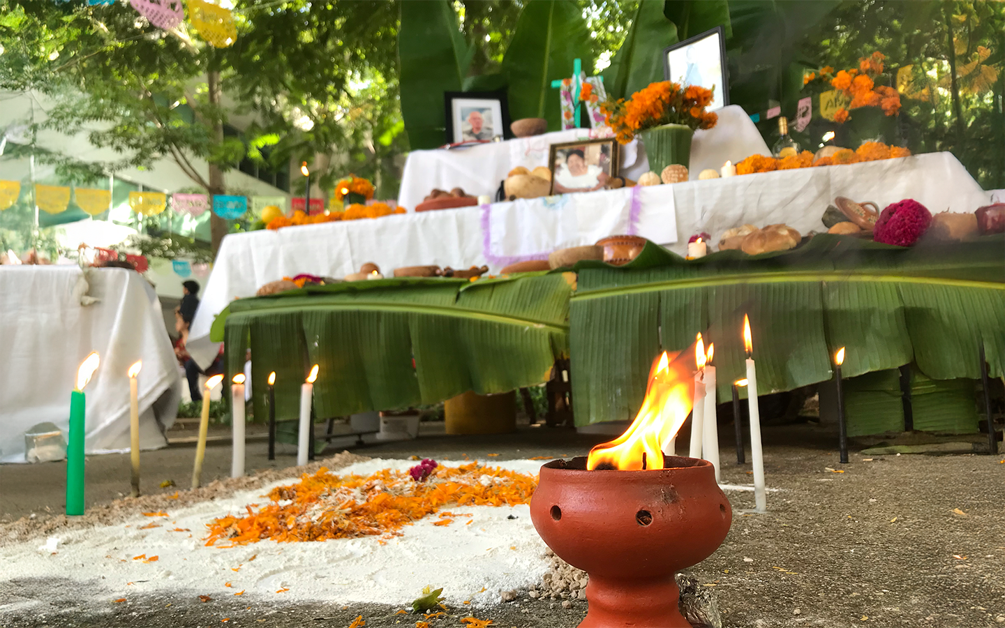 A Taste to Remember: Day of the Dead Cooking Experience