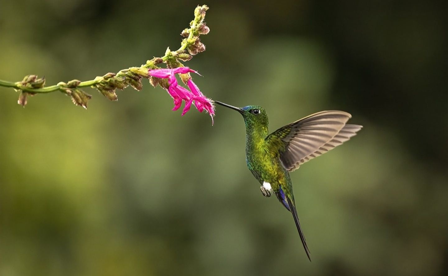 ZUROLOMA RESERVE PHOTO & BIRDING TOUR ws