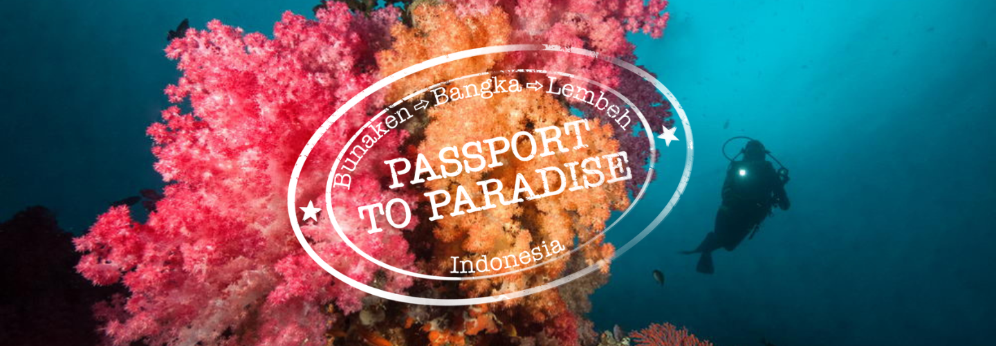 Indonesia's North Sulawesi Tour: Bunaken, Bangka & Lembeh