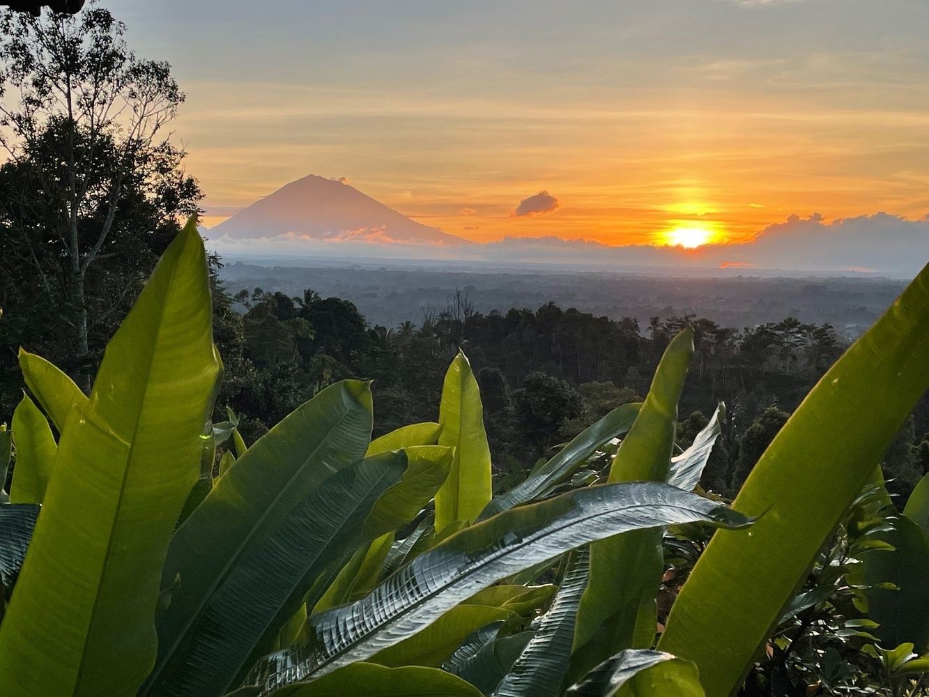 5 Day Guided Spiritual Culture Yoga & Meditation Retreat Bali