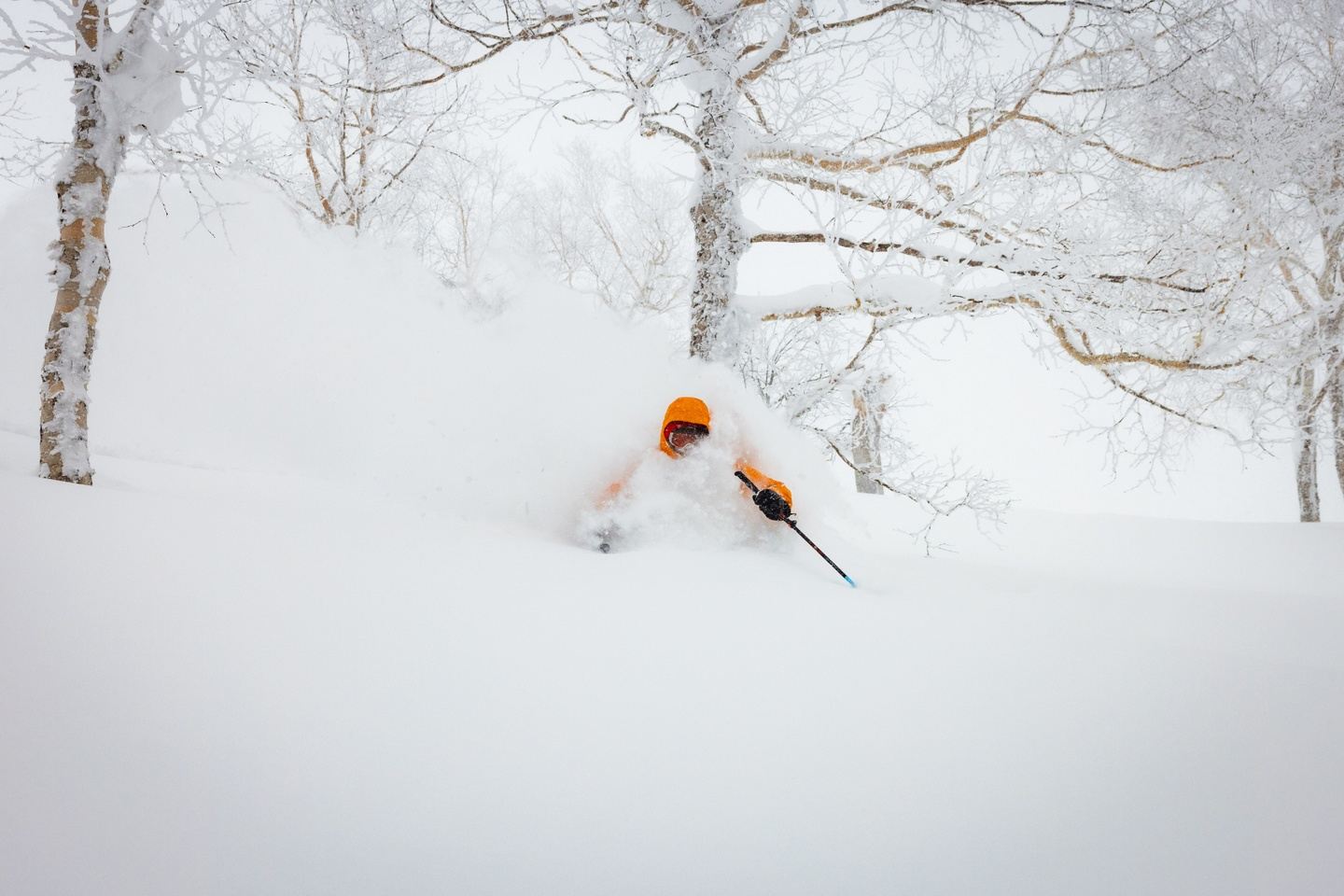 Central Hokkaido Explorer