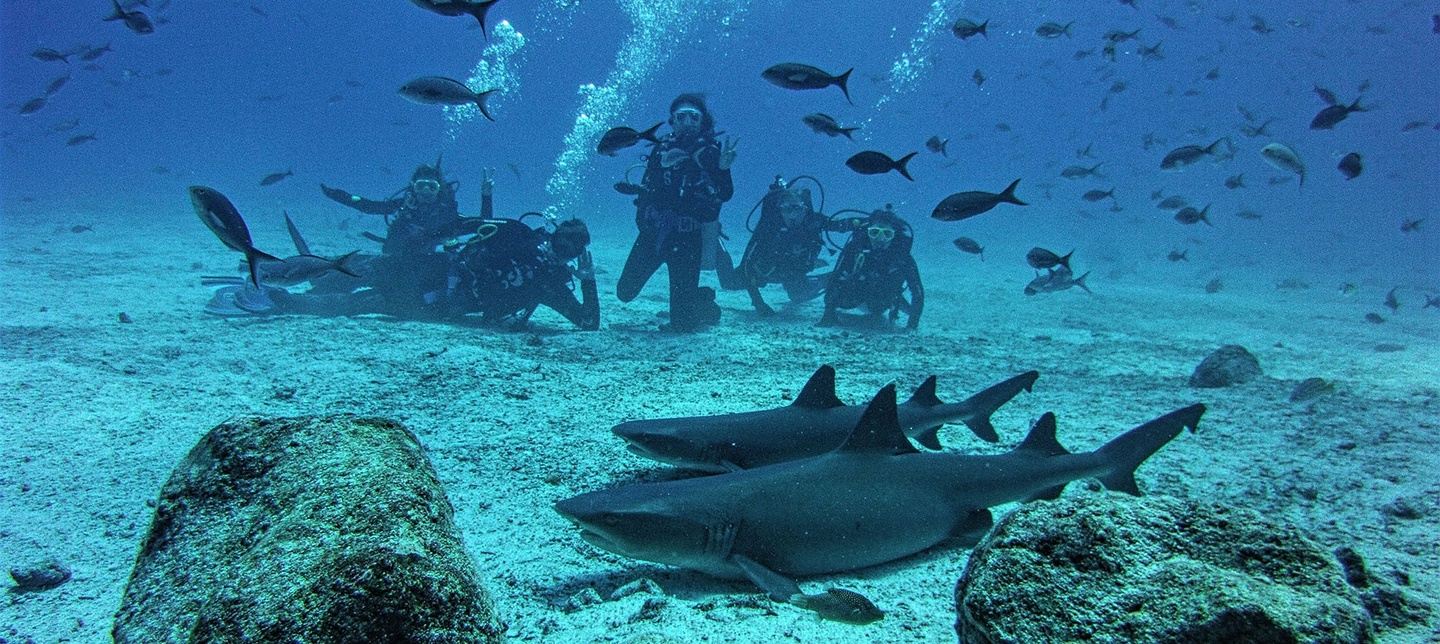 Complete Galapagos