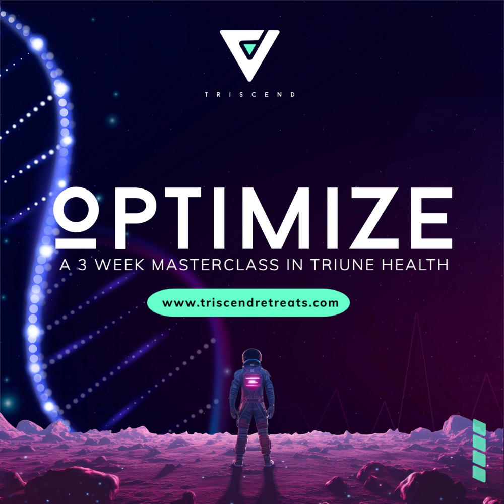 Optimize: Online Masterclass