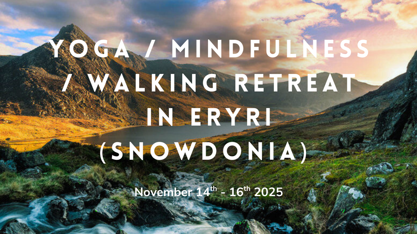 Yoga, Mindfulness,Walking Retreat in Snowdonia