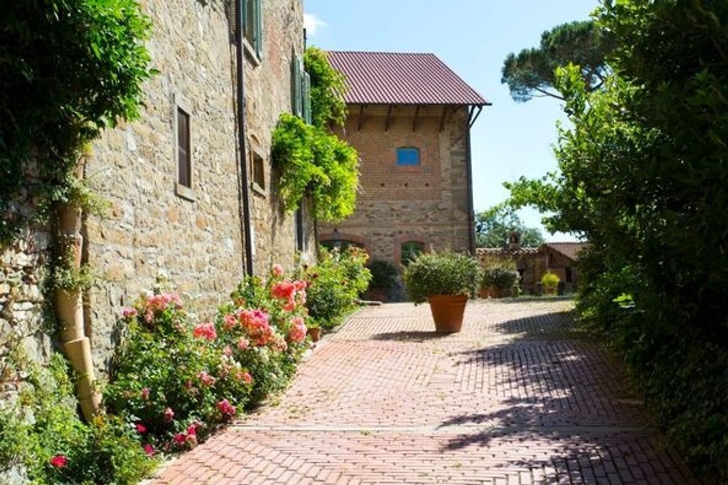 Renew and Restore Yoga Retreat in Tuscany