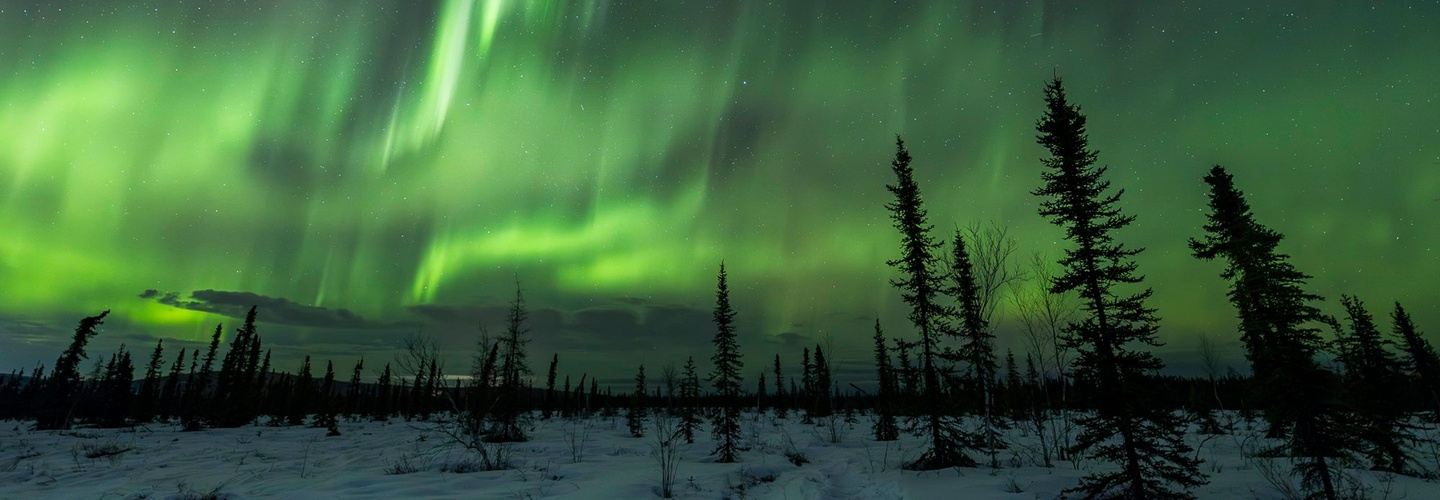 Single Night Photographer's Aurora Tours in Fairbanks, Alaska