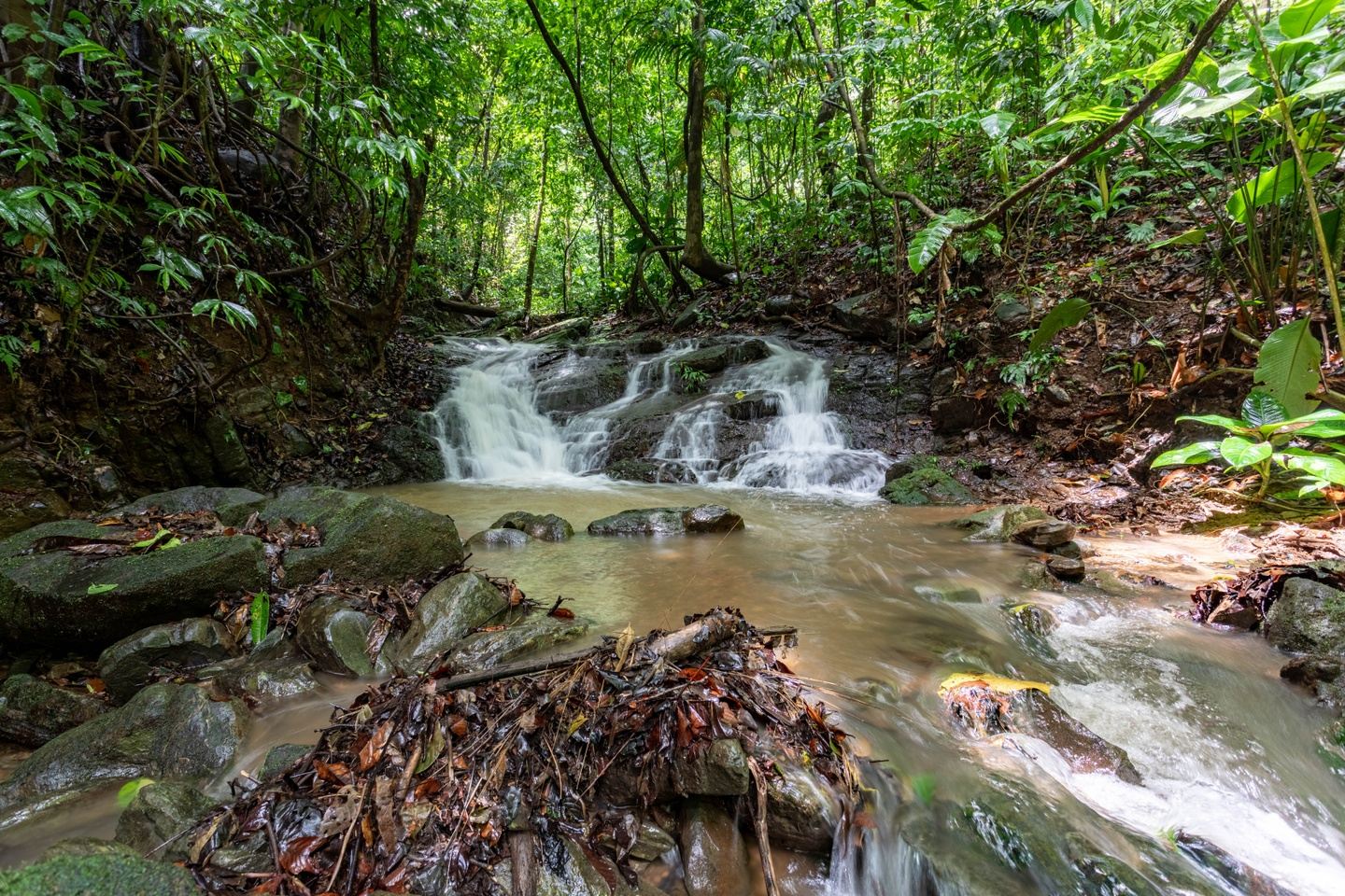 Burned Out 2 Boundless: Costa Rica 2027