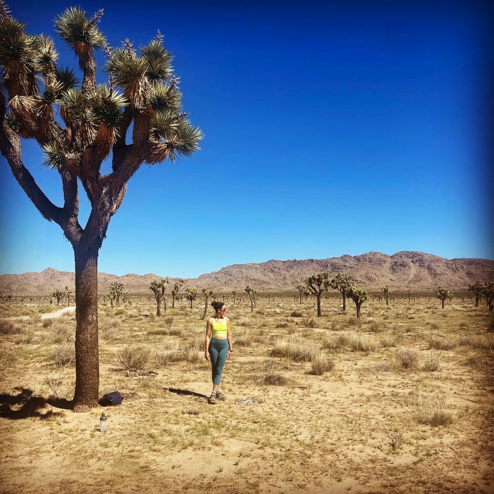 Breathe, Move, Center & Release - Pilates & Mindfulness in the Desert