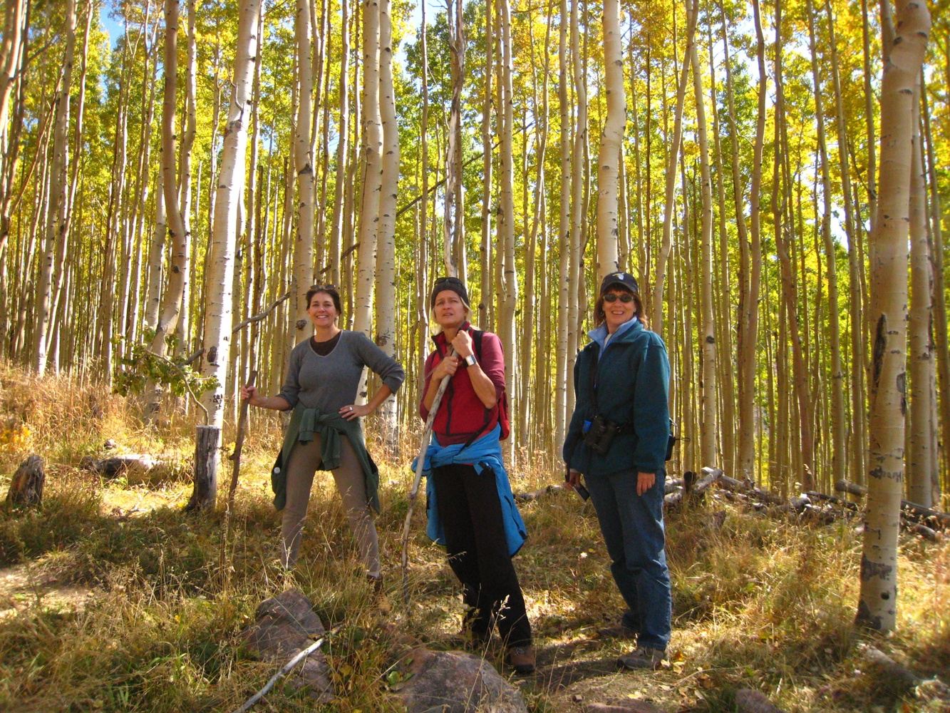 Alamos Vista Day Hike