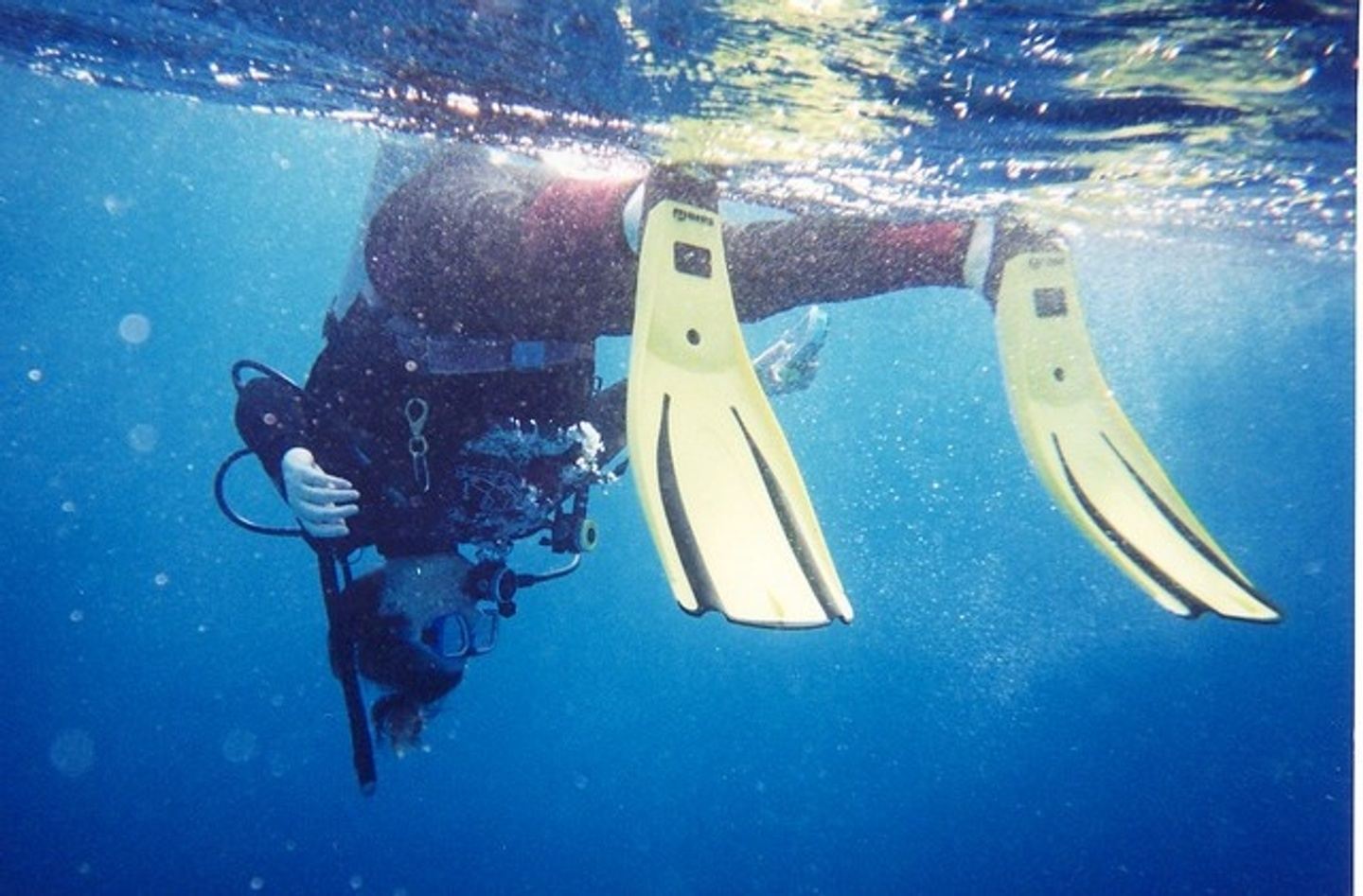 Cozumel Dive